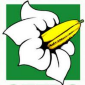 Hanse Seeds