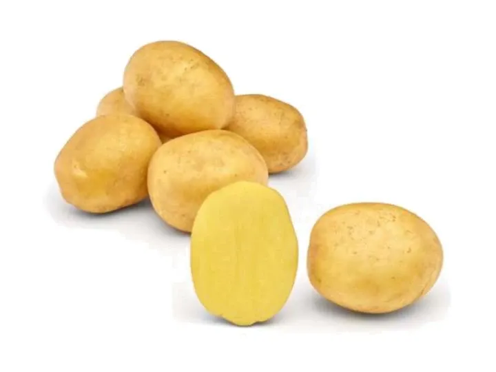 4 YOU - Early Ware Potato Variety | Hanse Seeds